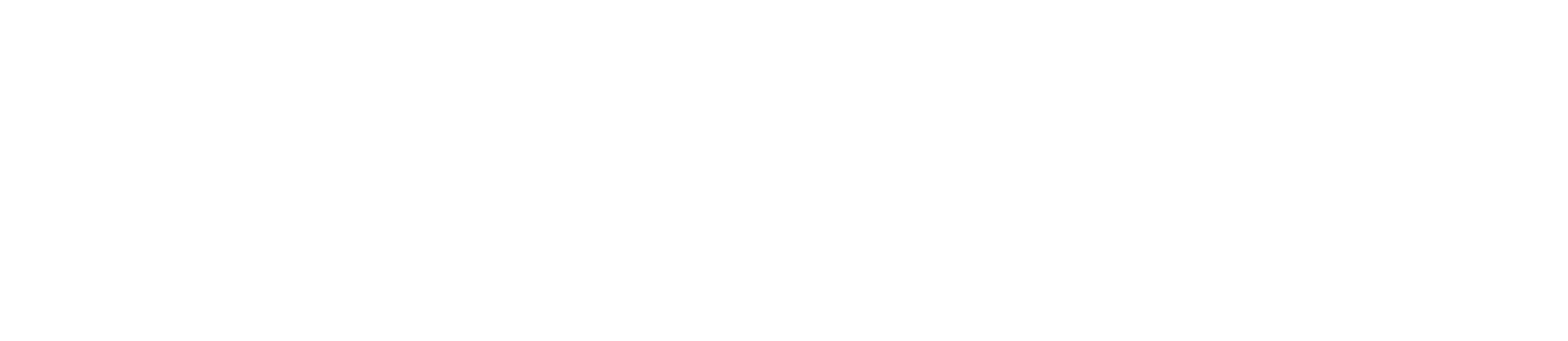 Primary logo, white version